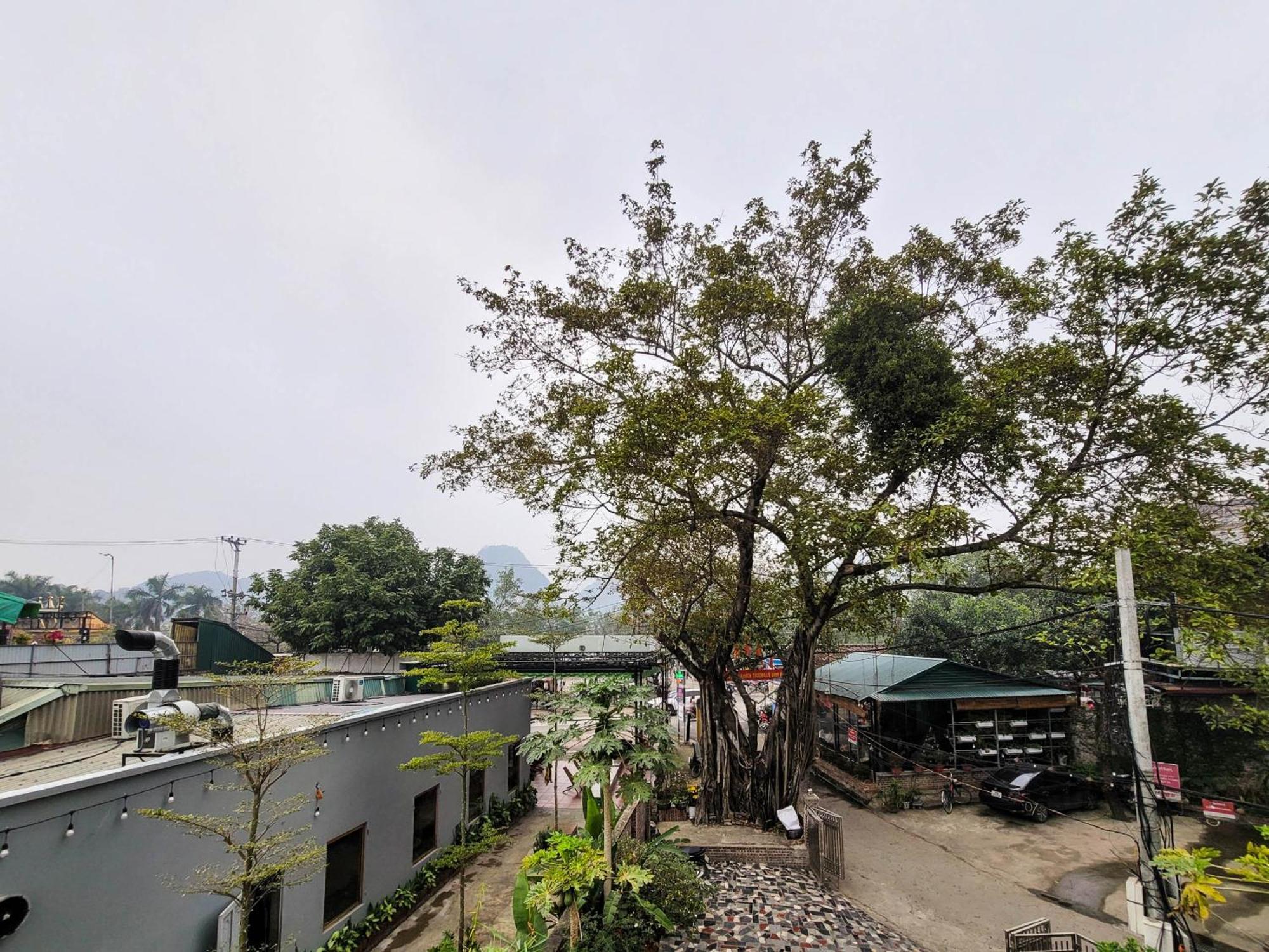 Tam Coc Harbor View Hotel Ninh Binh Exterior foto